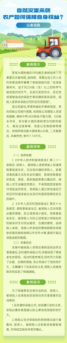 自然災害來襲，農(nóng)戶如何保障自身權(quán)益？